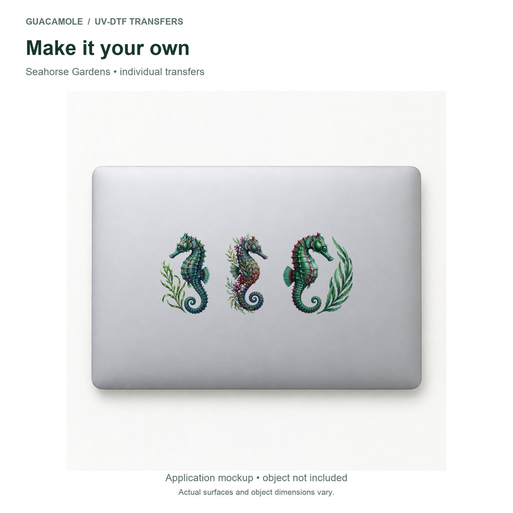 Seahorse Gardens — Three designs on a laptop