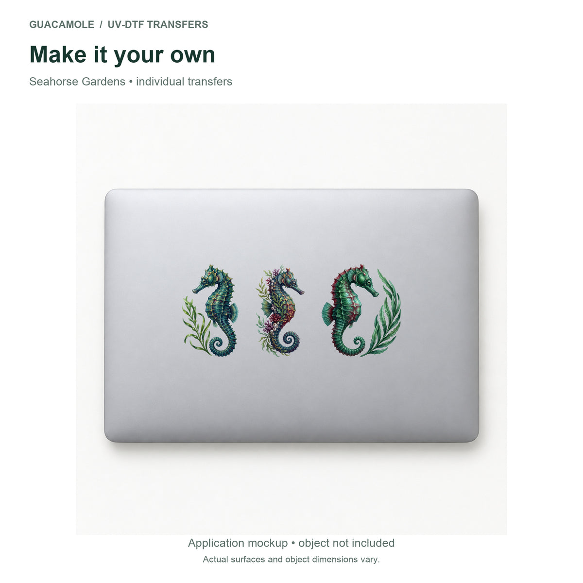Seahorse Gardens — Three designs on a laptop