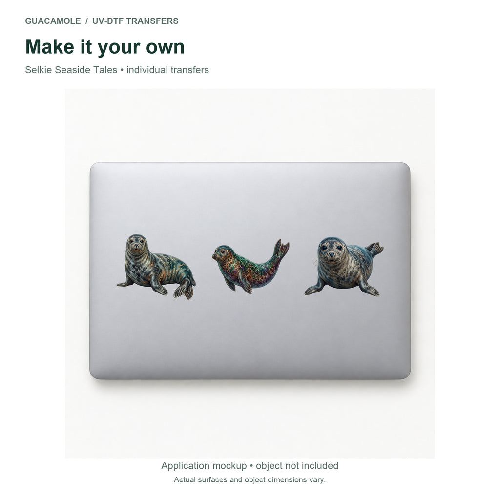 Selkie Seaside Tales — Three designs on a laptop