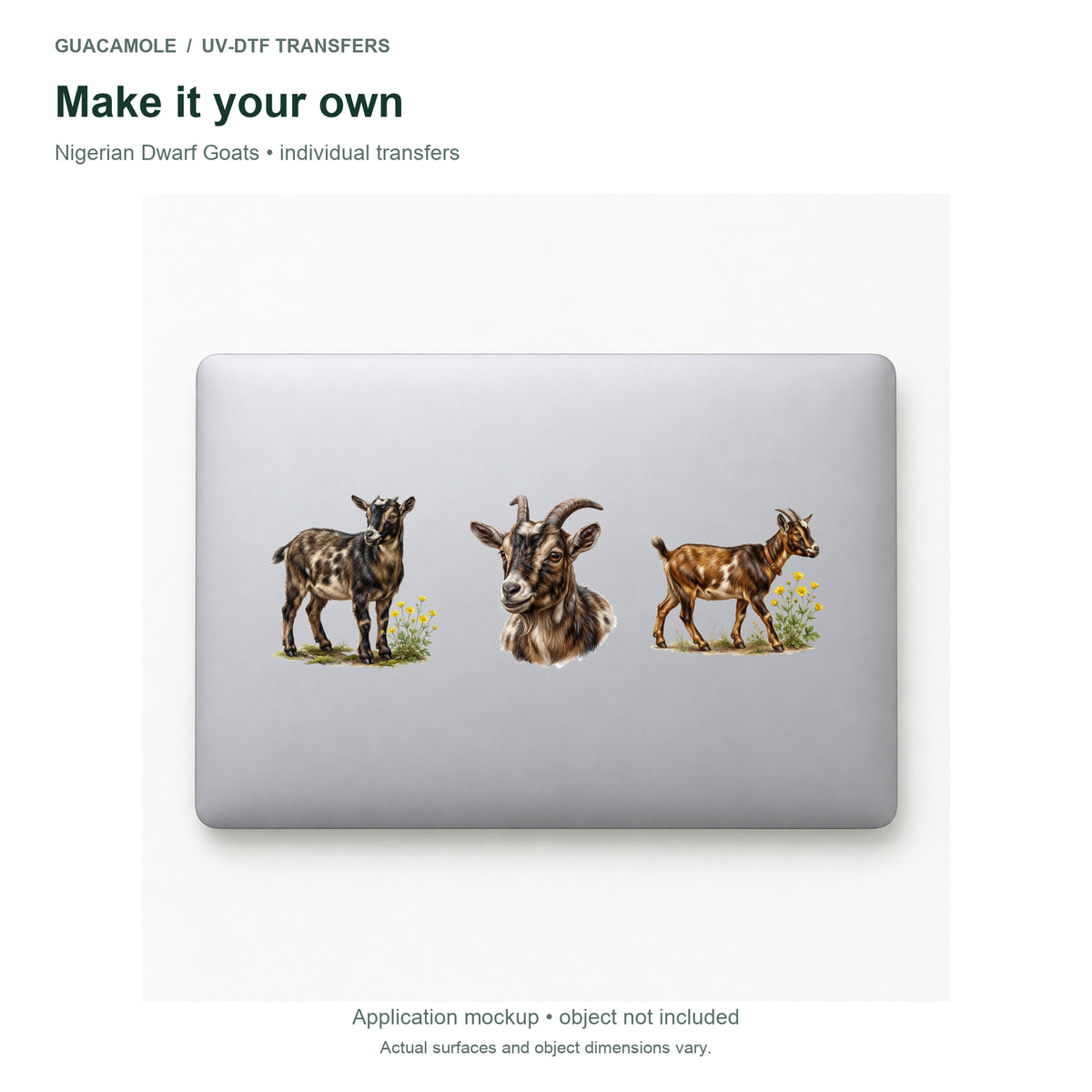 Nigerian Dwarf Goats — Three designs on a laptop