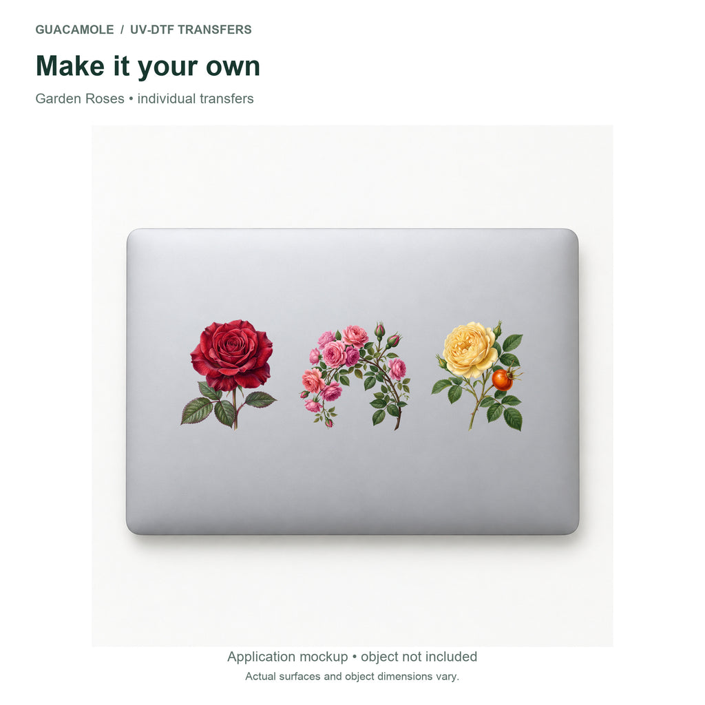 Garden Roses — Three designs on a laptop
