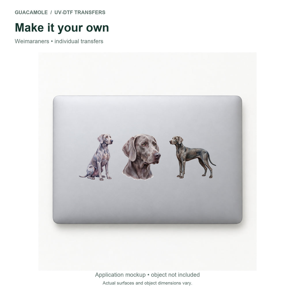 Weimaraners — Three designs on a laptop