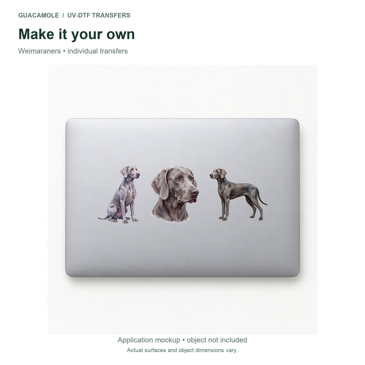 Weimaraners — Three designs on a laptop