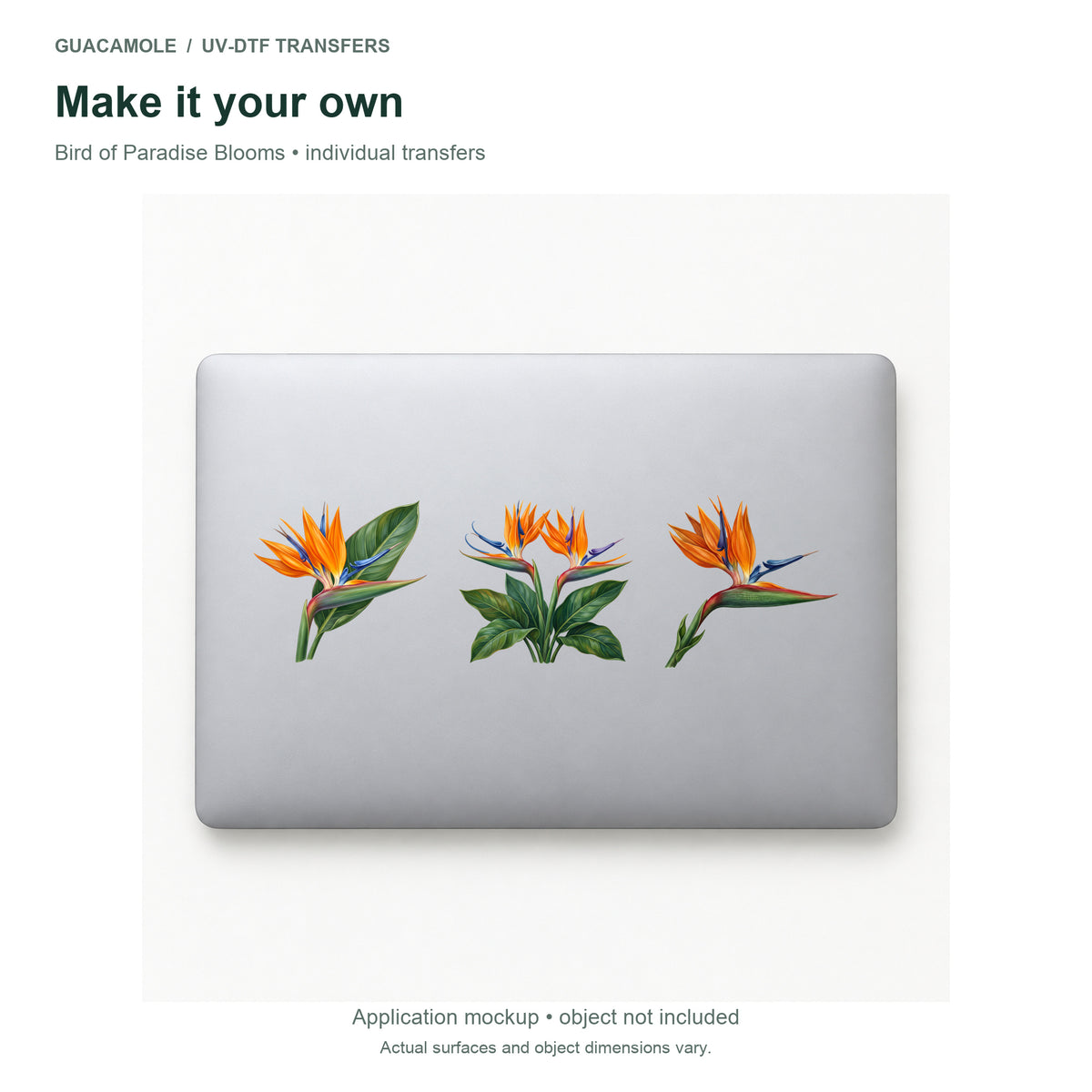 Bird of Paradise Blooms — Three designs on a laptop