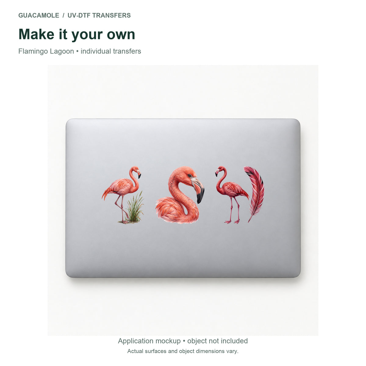 Flamingo Lagoon — Three designs on a laptop