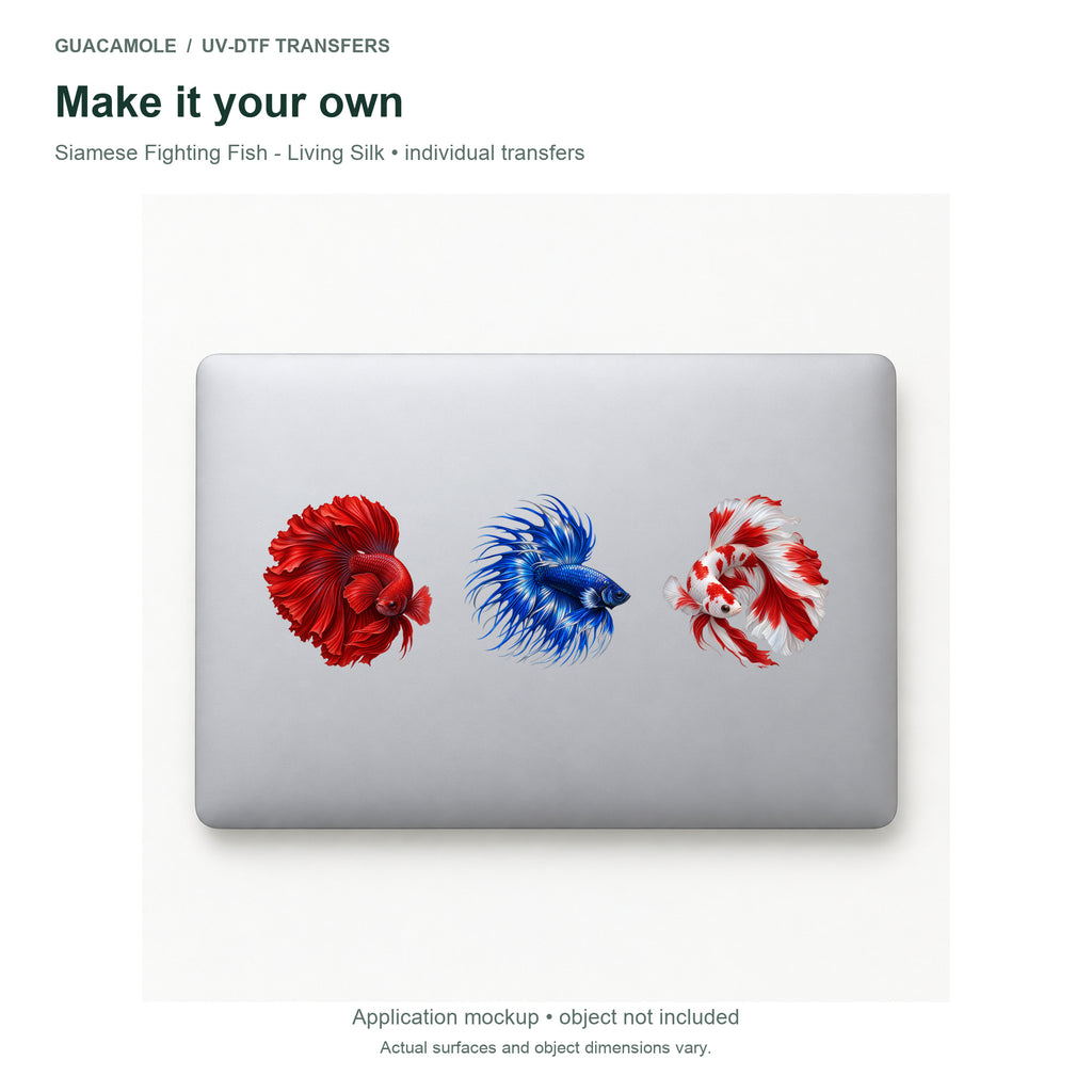 Siamese Fighting Fish - Living Silk — Three designs on a laptop