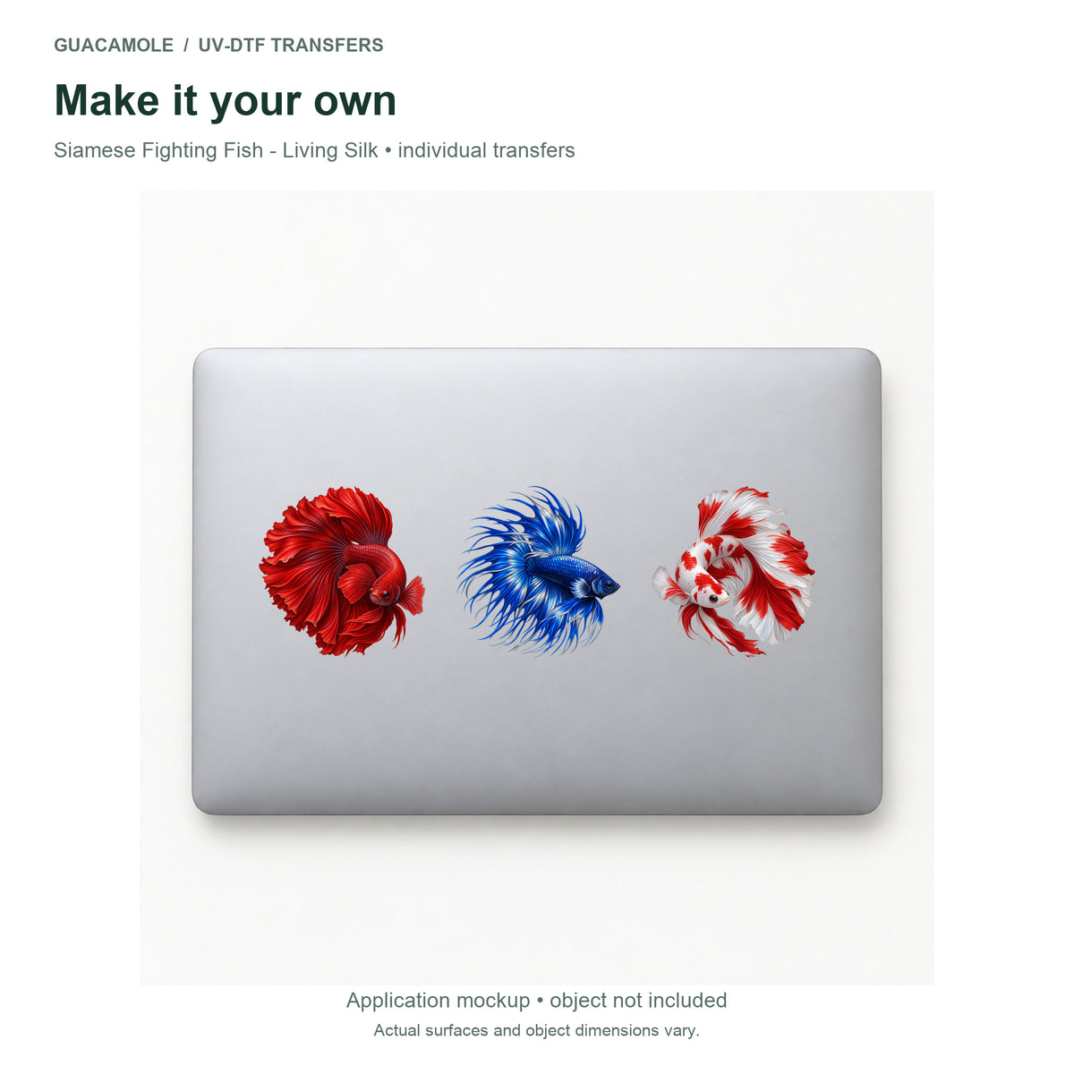 Siamese Fighting Fish - Living Silk — Three designs on a laptop