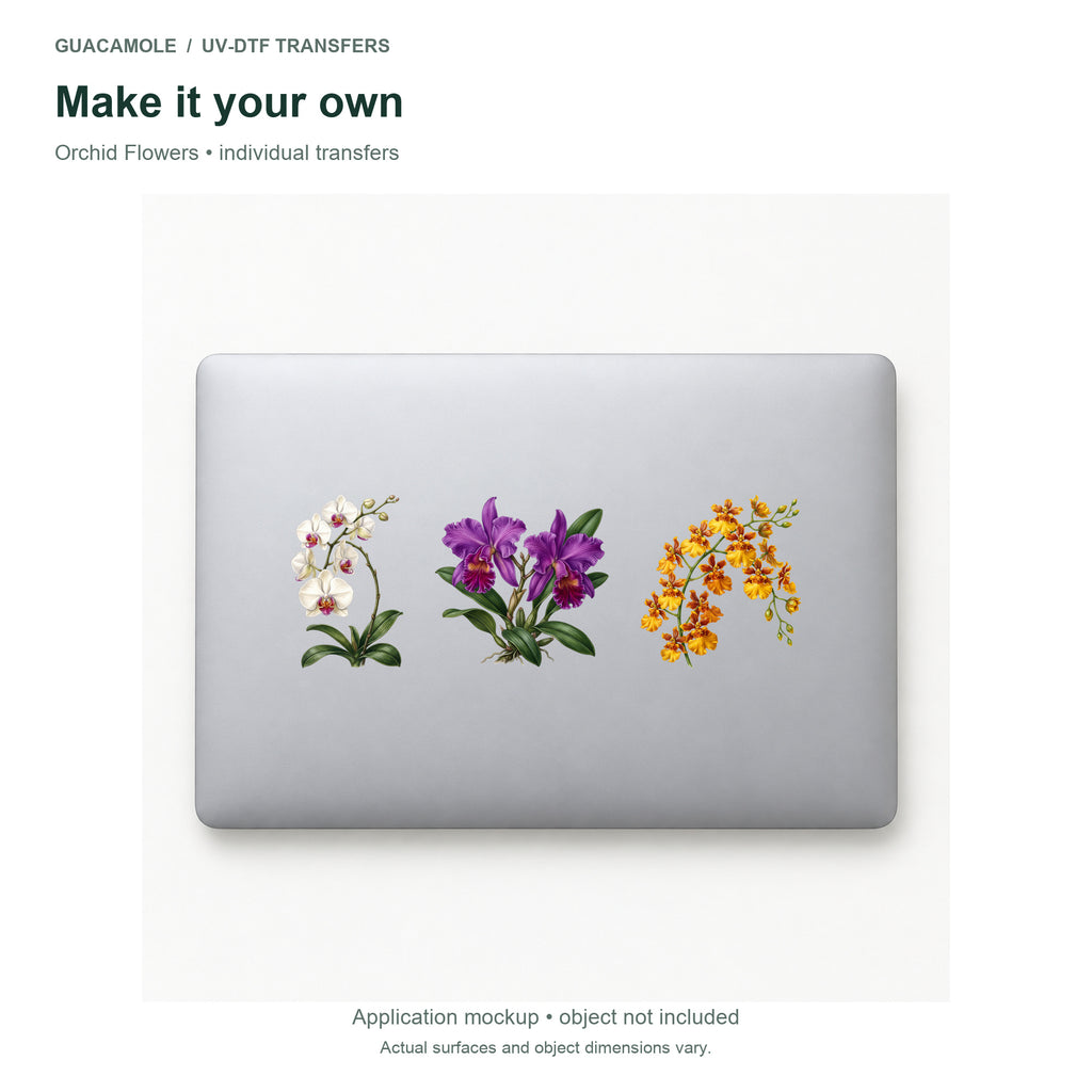 Orchid Flowers — Three designs on a laptop
