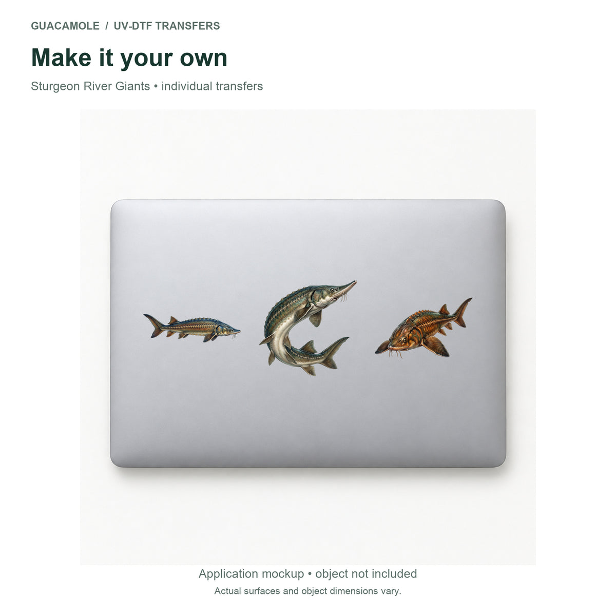 Sturgeon River Giants — Three designs on a laptop