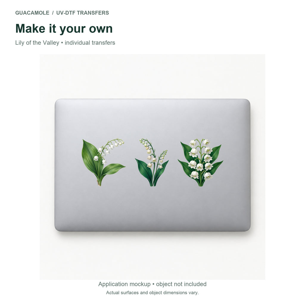 Lily of the Valley — Three designs on a laptop