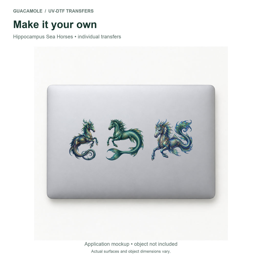 Hippocampus Sea Horses — Three designs on a laptop