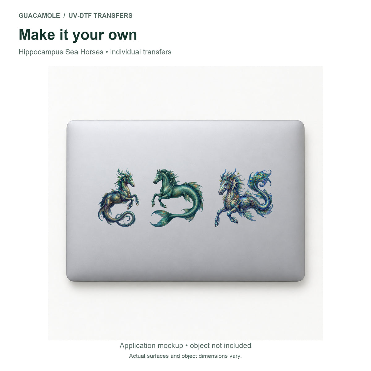 Hippocampus Sea Horses — Three designs on a laptop