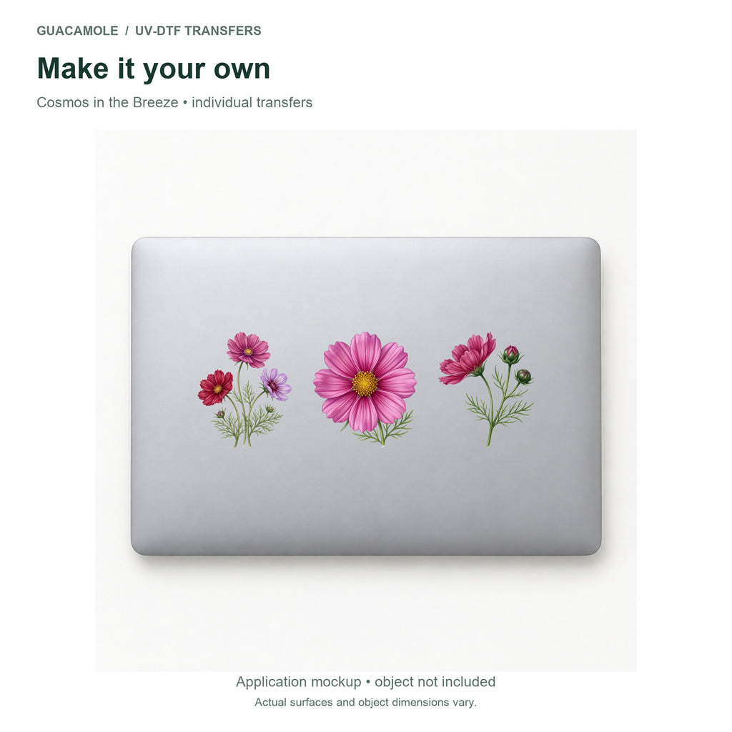 Cosmos in the Breeze — Three designs on a laptop