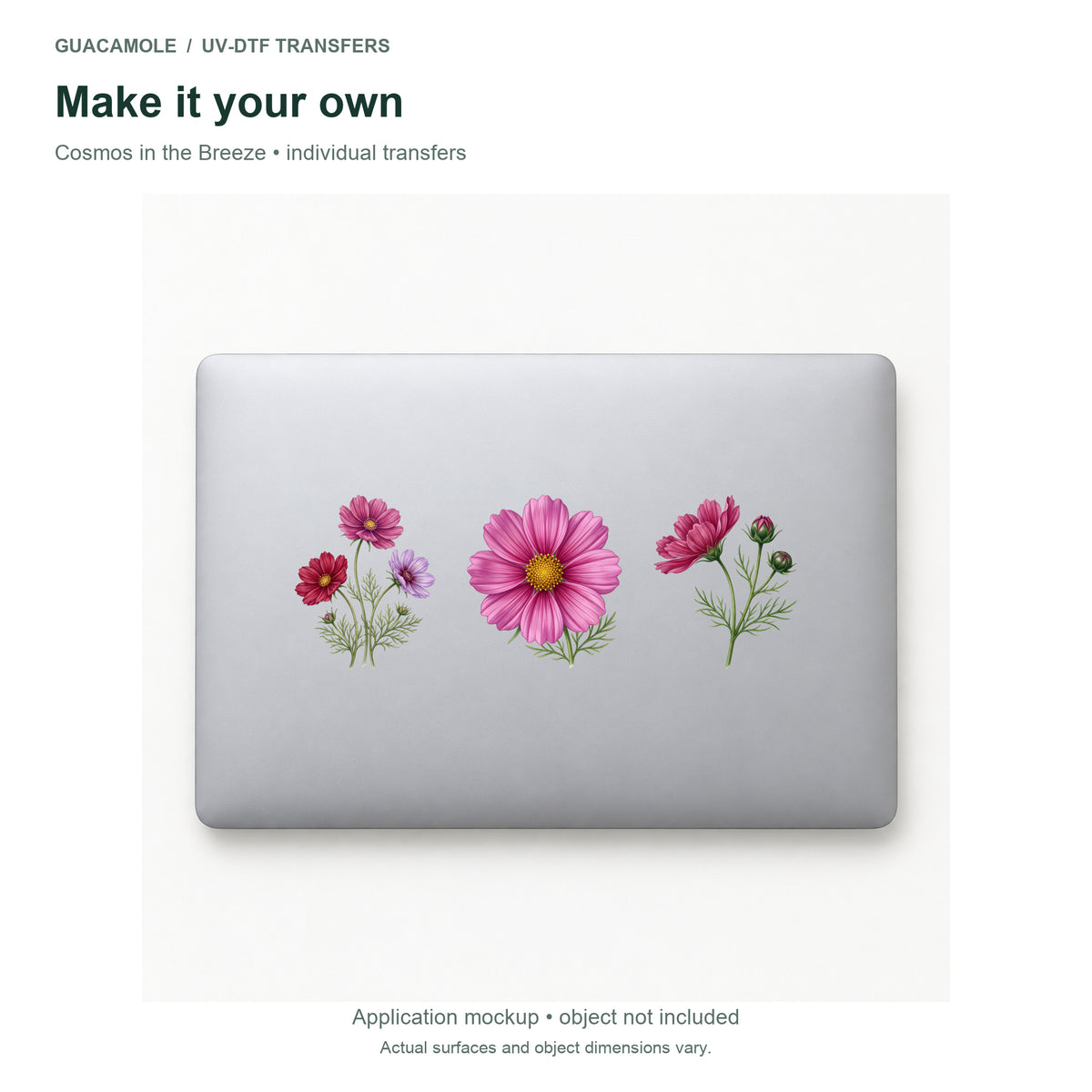 Cosmos in the Breeze — Three designs on a laptop