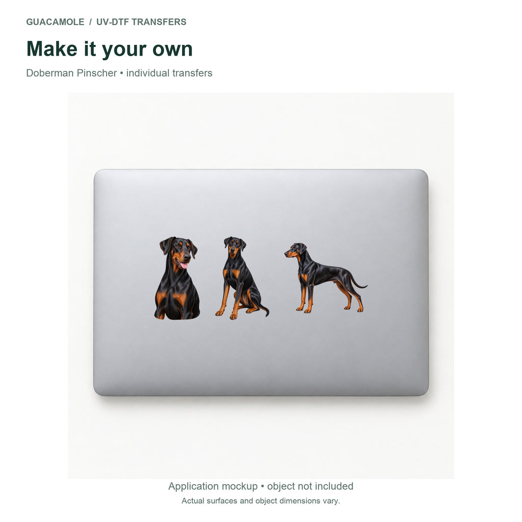 Doberman Pinscher — Three designs on a laptop