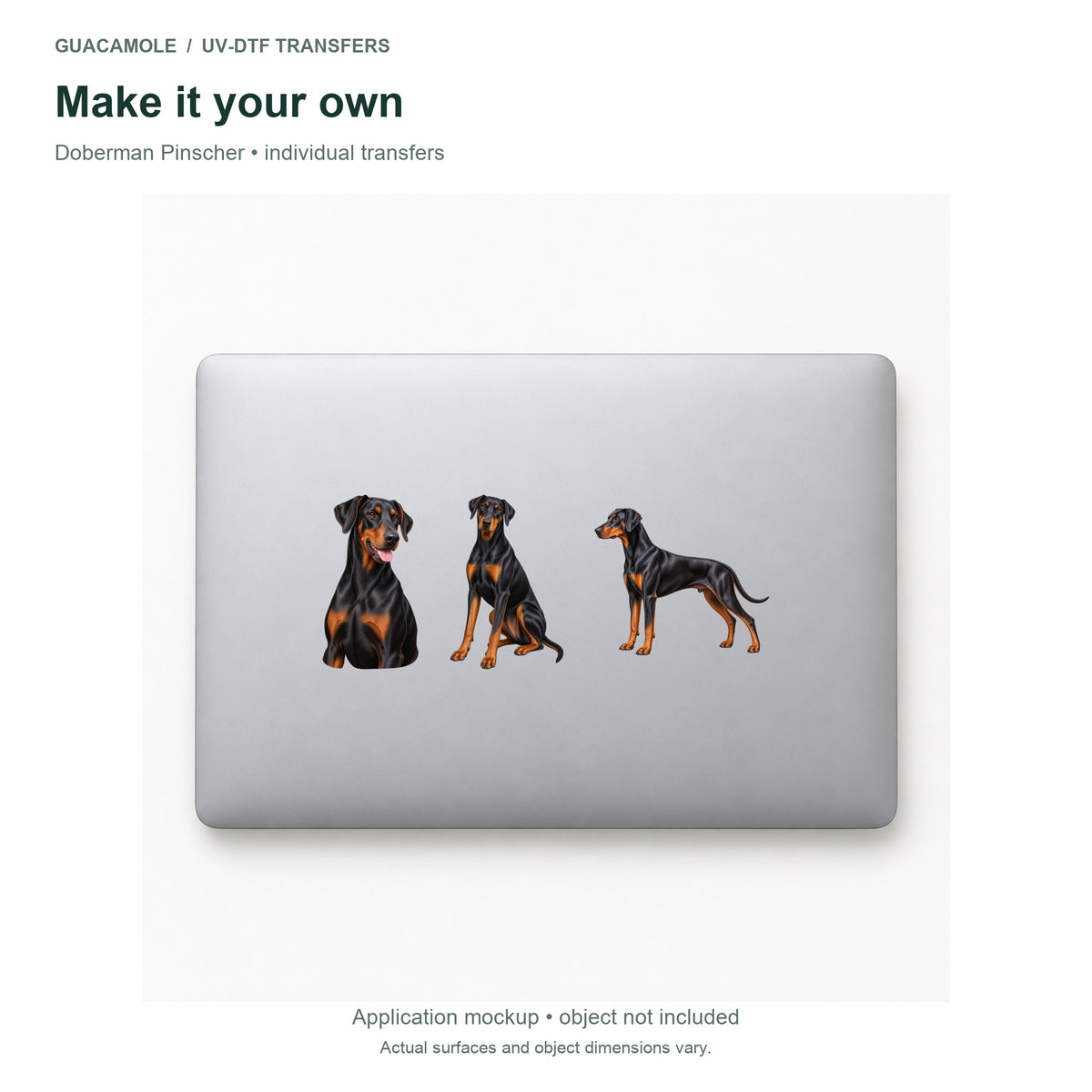 Doberman Pinscher — Three designs on a laptop