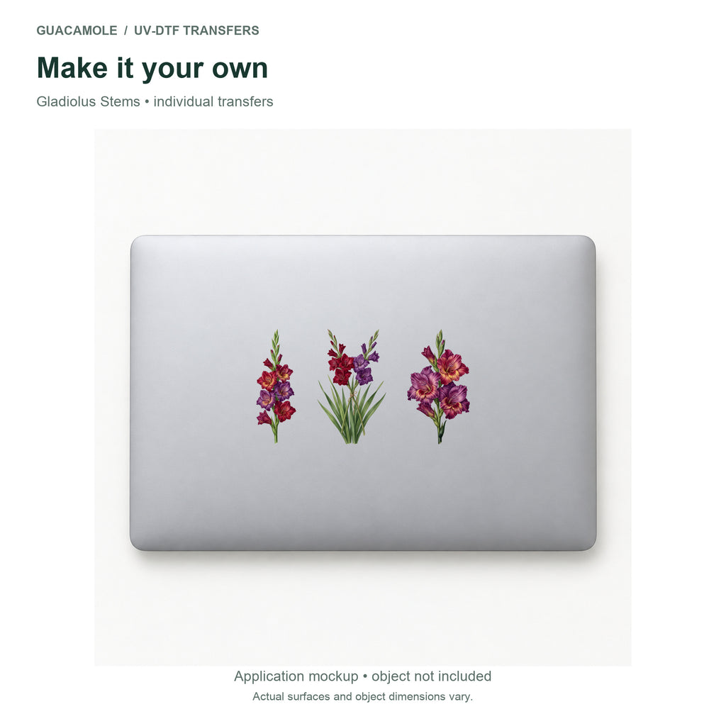 Gladiolus Stems — Three designs on a laptop