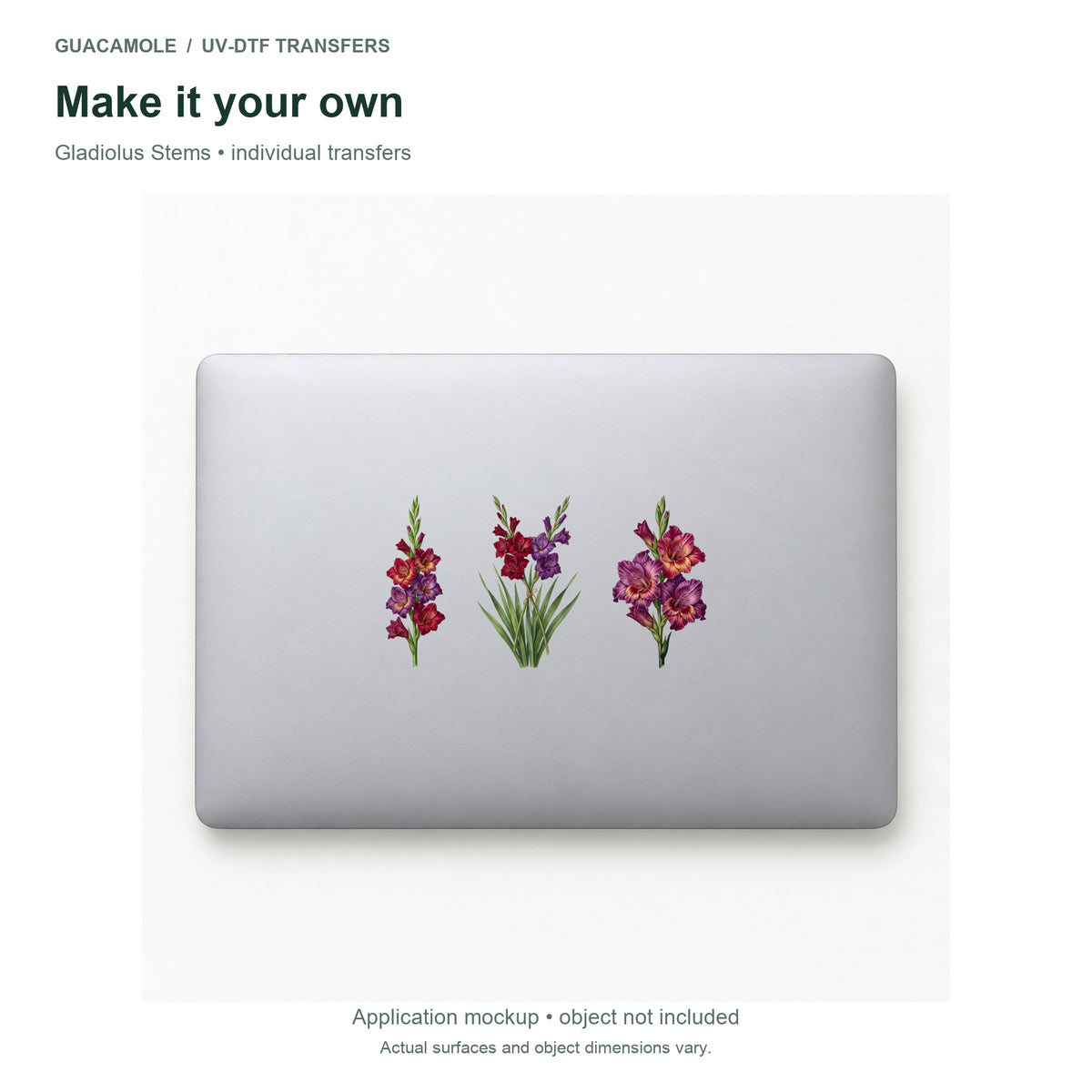 Gladiolus Stems — Three designs on a laptop