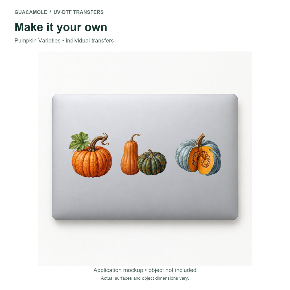Pumpkin Varieties — Three designs on a laptop