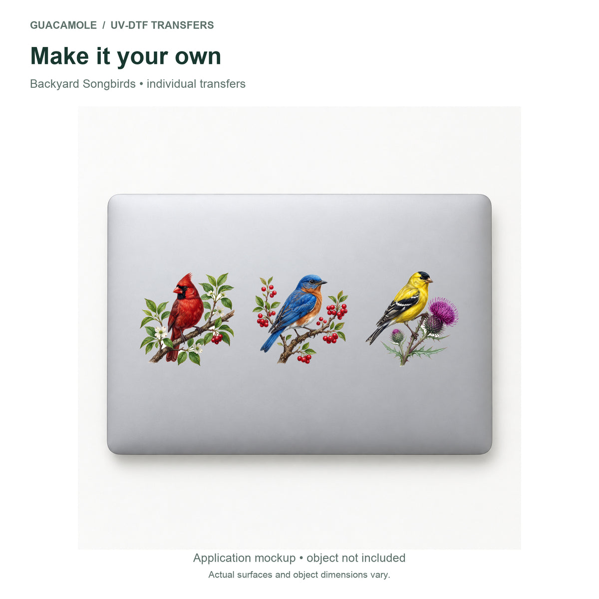Backyard Songbirds — Three designs on a laptop