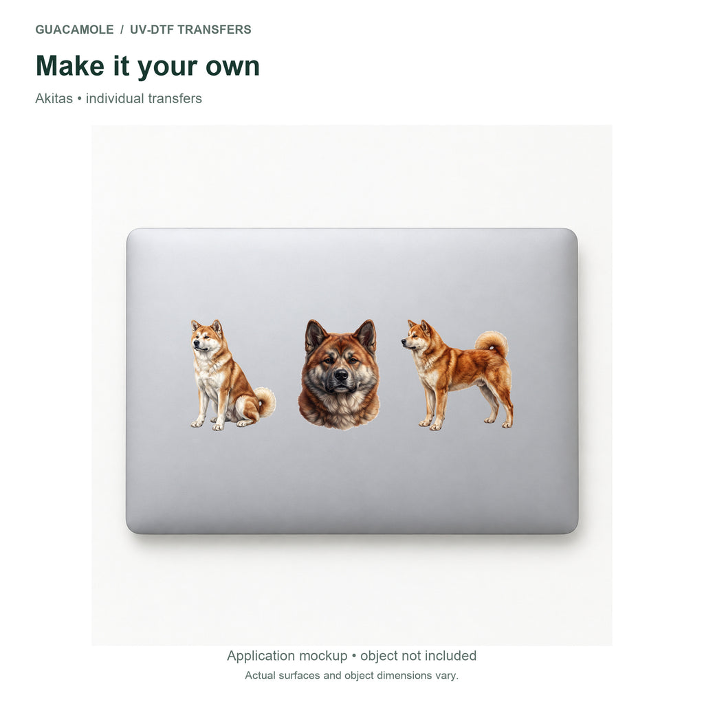 Akitas — Three designs on a laptop