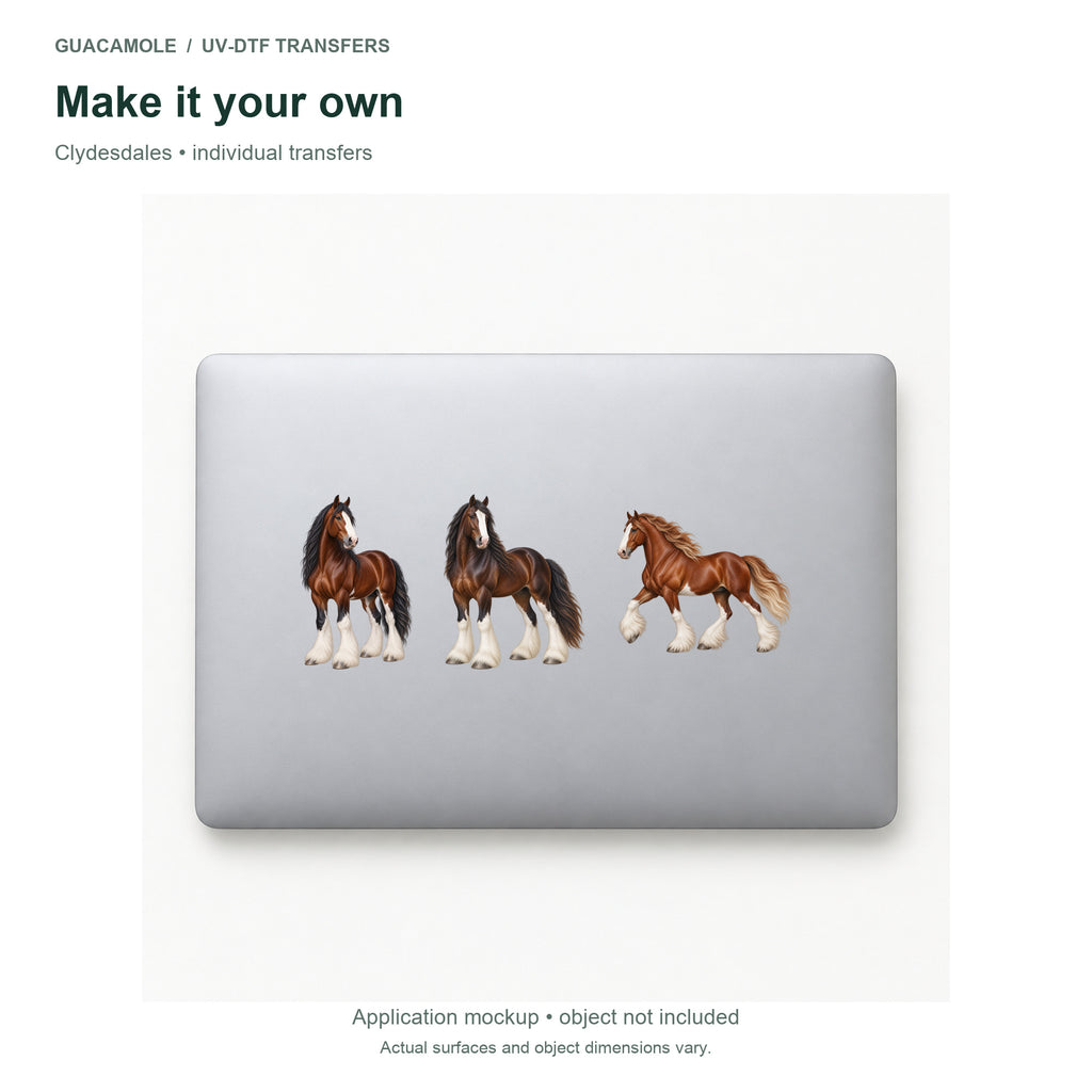 Clydesdales — Three designs on a laptop