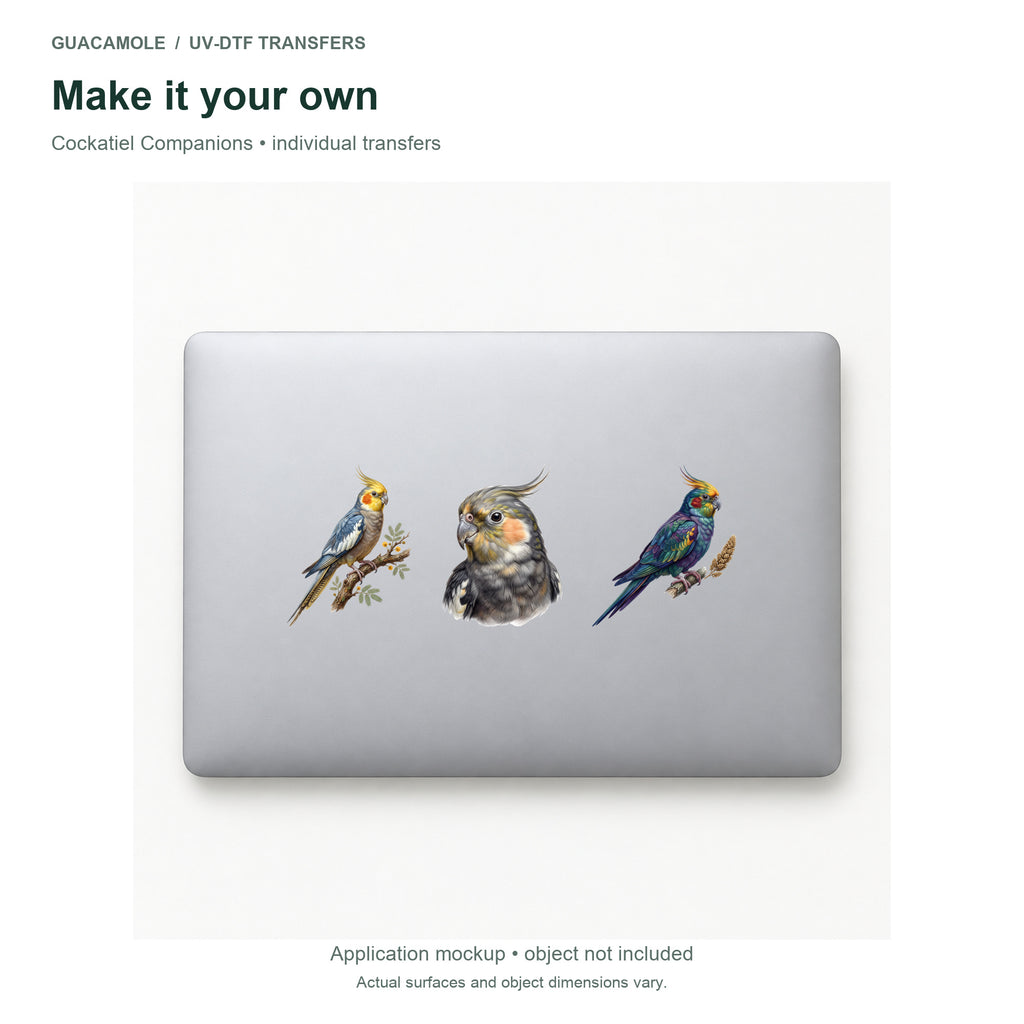 Cockatiel Companions — Three designs on a laptop