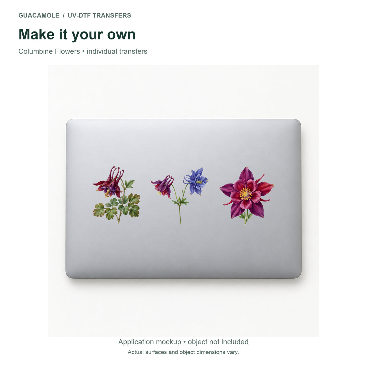 Columbine Flowers — Three designs on a laptop