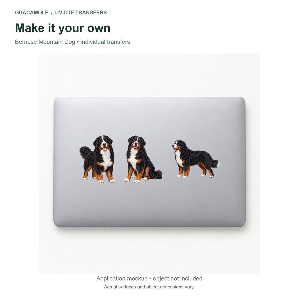 Bernese Mountain Dog — Three designs on a laptop