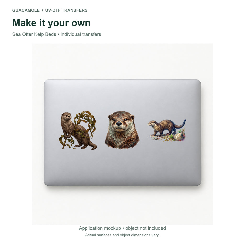 Sea Otter Kelp Beds — Three designs on a laptop