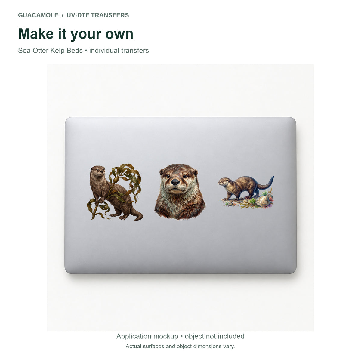 Sea Otter Kelp Beds — Three designs on a laptop