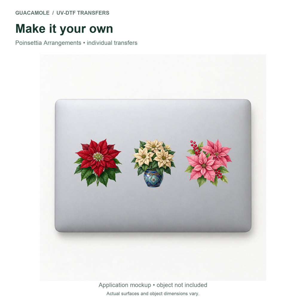 Poinsettia Arrangements — Three designs on a laptop