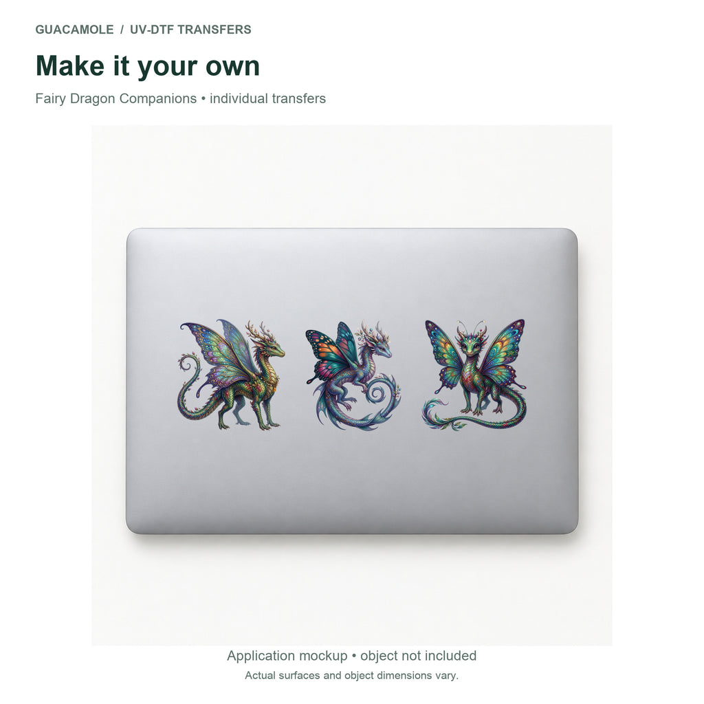 Fairy Dragon Companions — Three designs on a laptop
