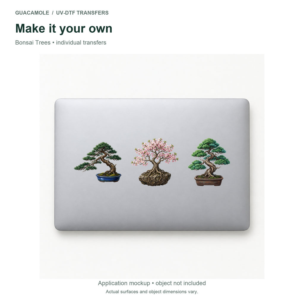 Bonsai Trees — Three designs on a laptop