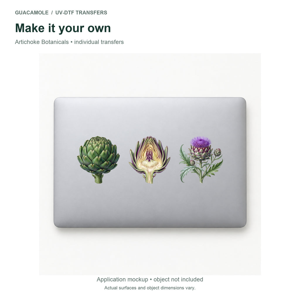 Artichoke Botanicals — Three designs on a laptop