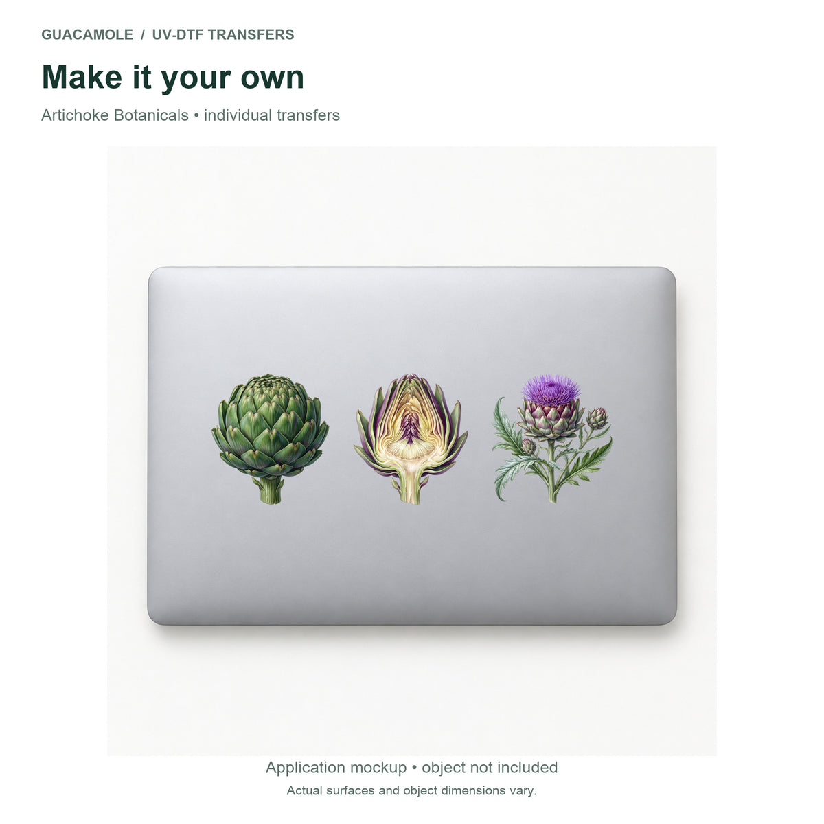 Artichoke Botanicals — Three designs on a laptop