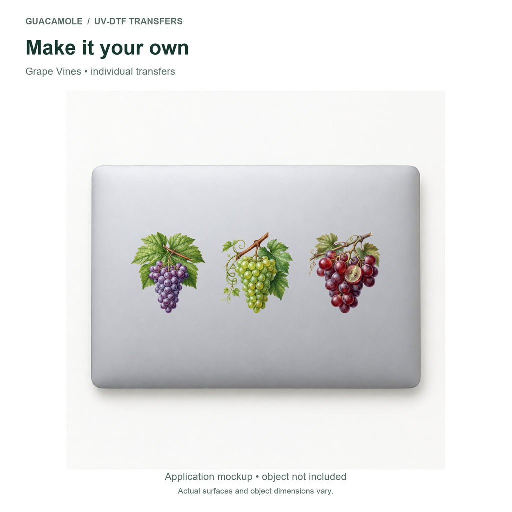 Grape Vines — Three designs on a laptop