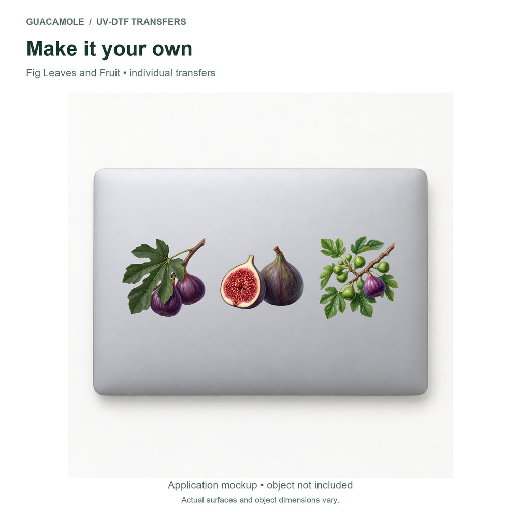 Fig Leaves and Fruit — Three designs on a laptop