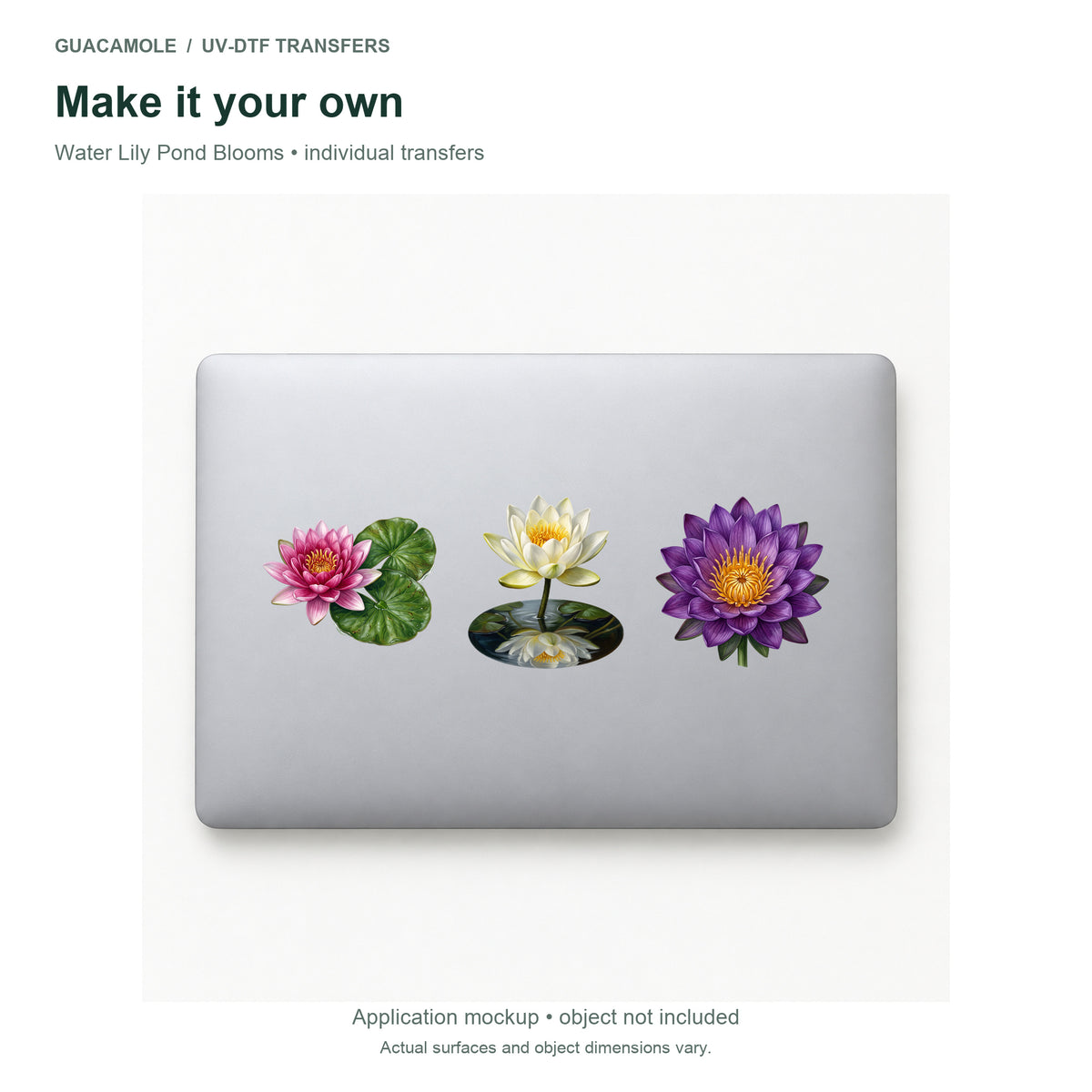 Water Lily Pond Blooms — Three designs on a laptop