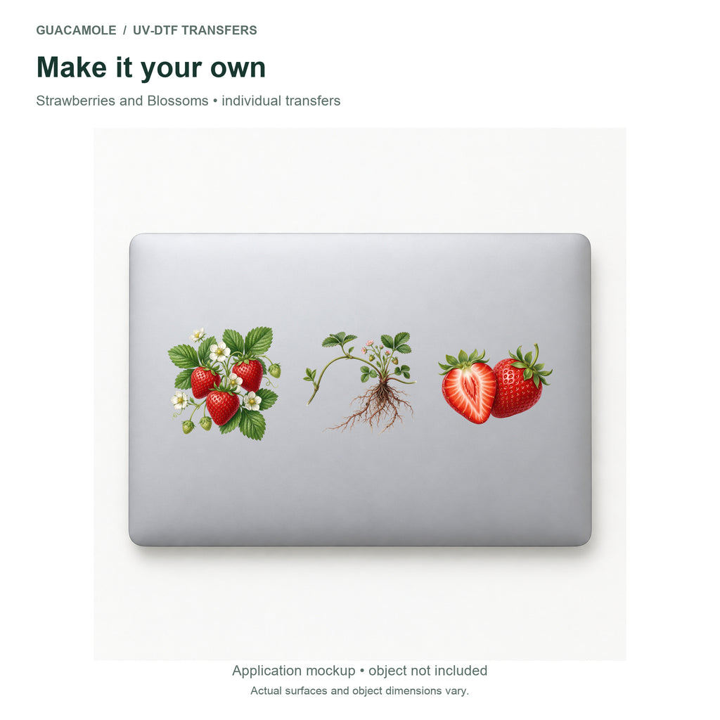 Strawberries and Blossoms — Three designs on a laptop