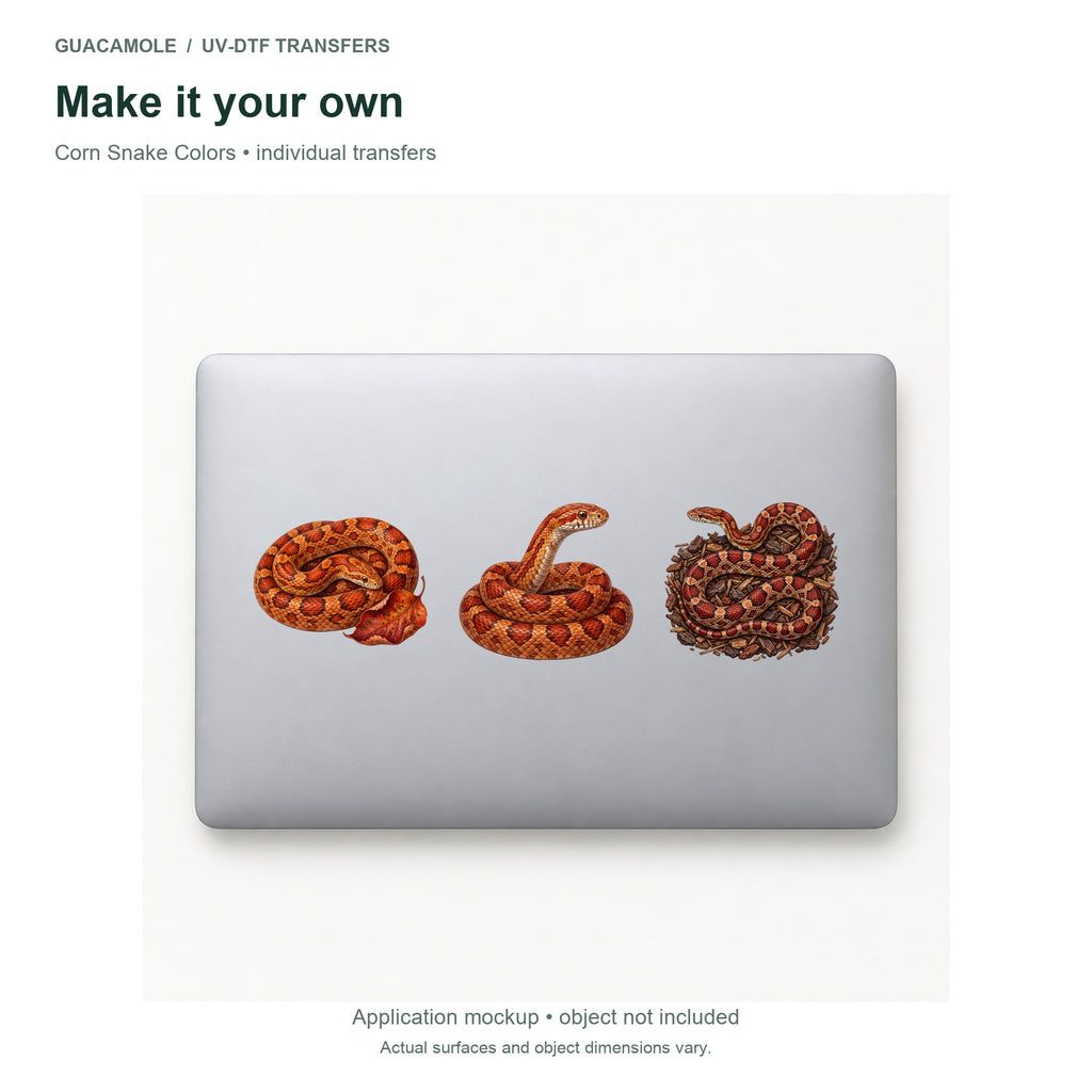 Corn Snake Colors — Three designs on a laptop