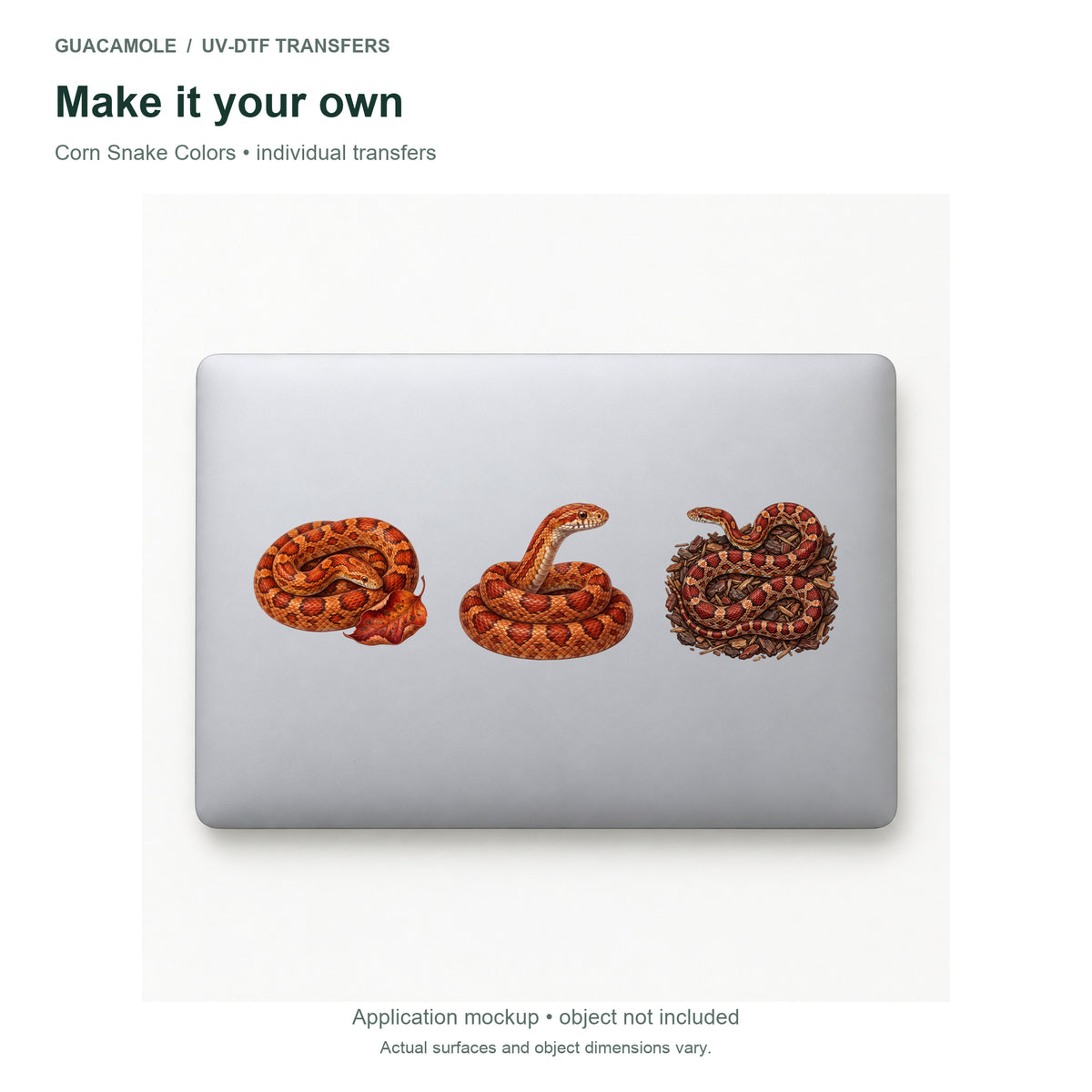 Corn Snake Colors — Three designs on a laptop