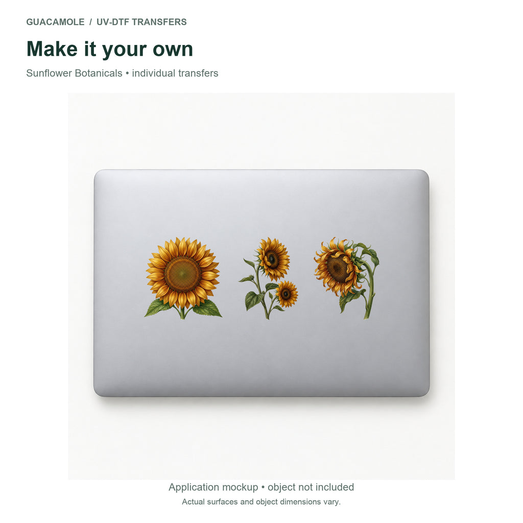 Sunflower Botanicals — Three designs on a laptop