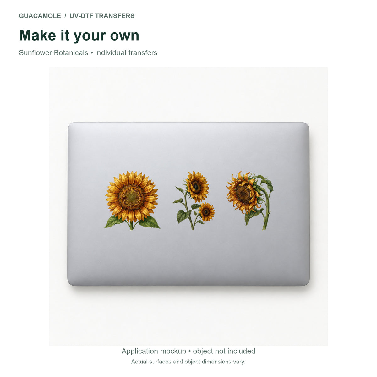 Sunflower Botanicals — Three designs on a laptop