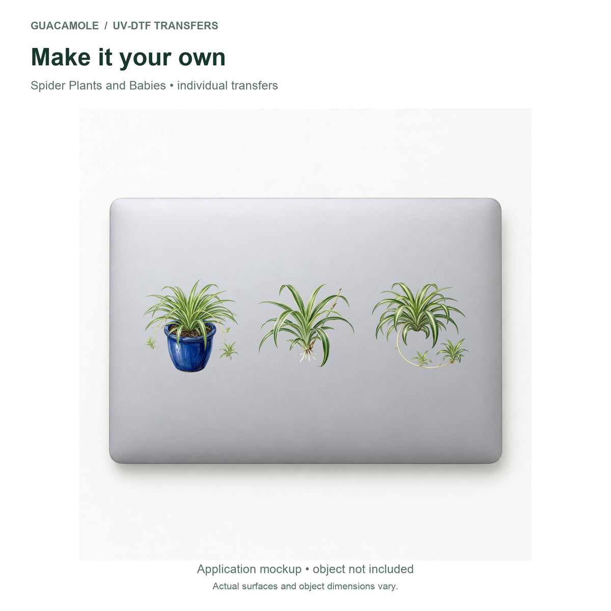 Spider Plants and Babies — Three designs on a laptop