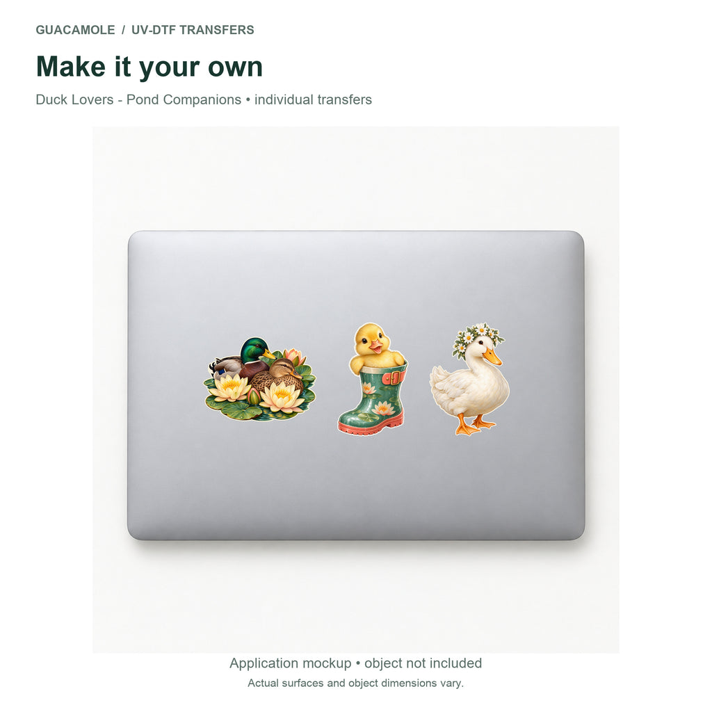 Duck Lovers - Pond Companions — Three designs on a laptop