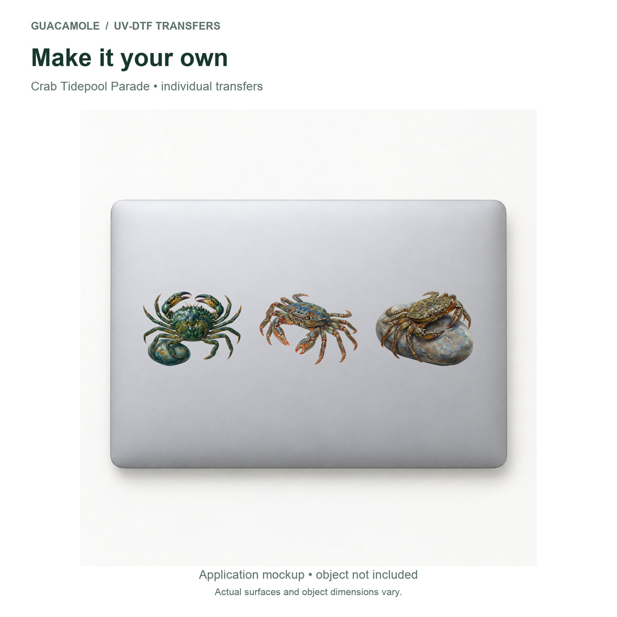 Crab Tidepool Parade — Three designs on a laptop