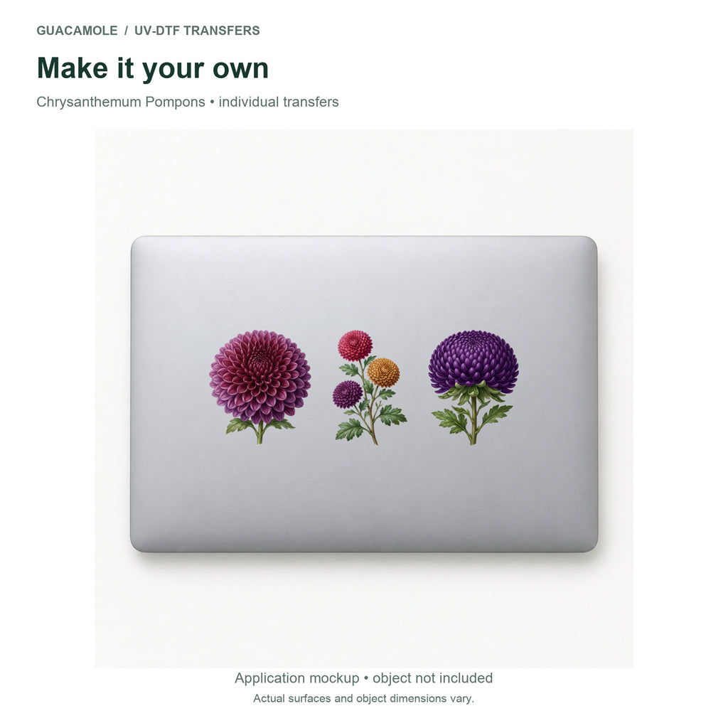 Chrysanthemum Pompons — Three designs on a laptop