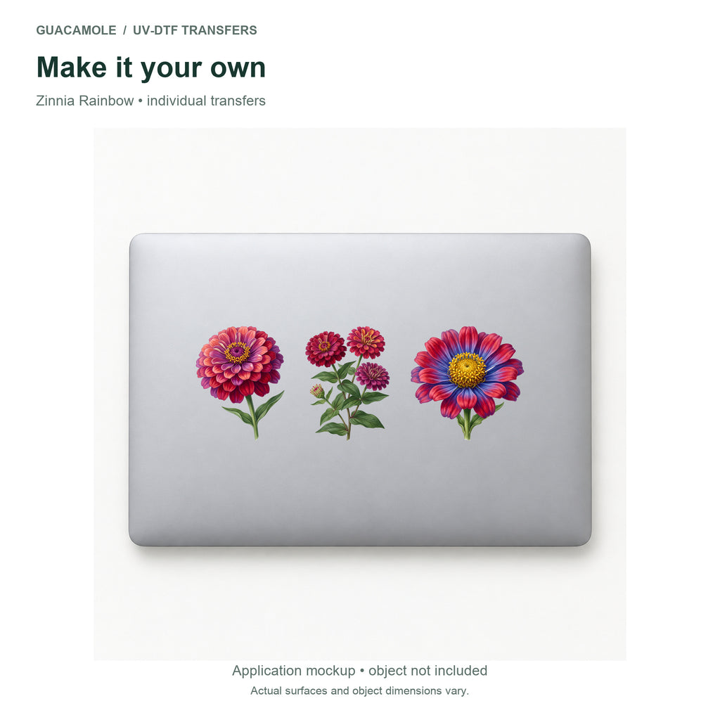 Zinnia Rainbow — Three designs on a laptop