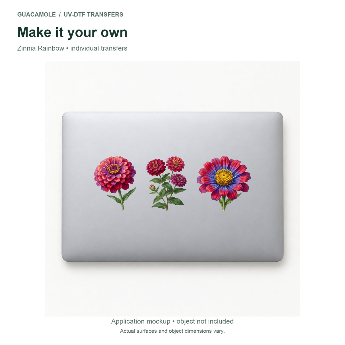 Zinnia Rainbow — Three designs on a laptop